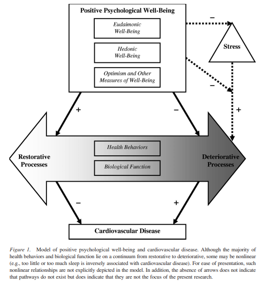 CVD model